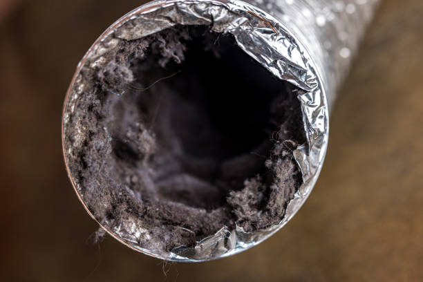 Best Air Duct Cleaning Cost  in Mount Clemens, MI