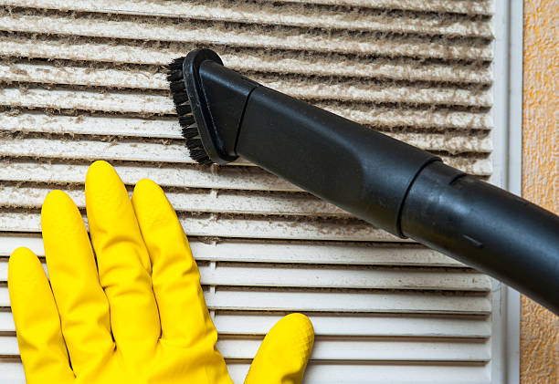 Best Affordable HVAC Duct Cleaning  in Mount Clemens, MI